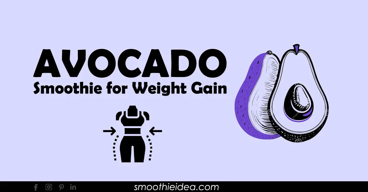 avocado weight gain smoothie recipes